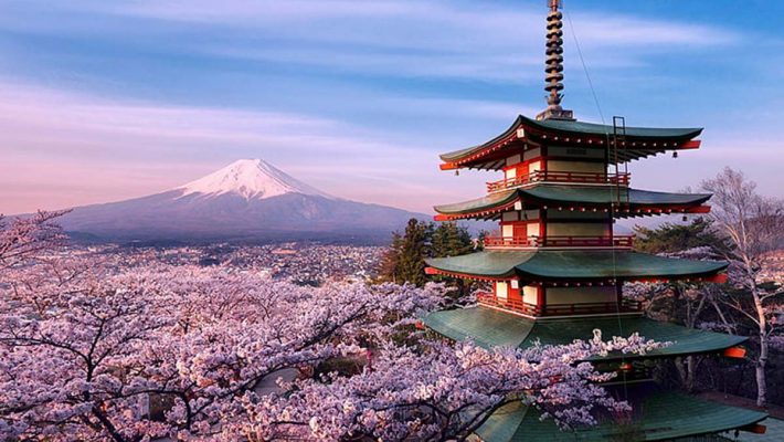 Địa điểm ngắm hoa khi du lịch Nhật Bản