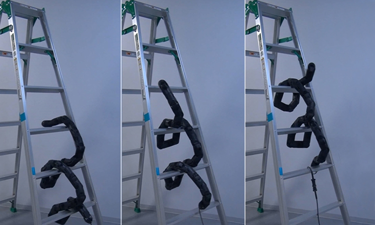 robot rắn có thể leo thang