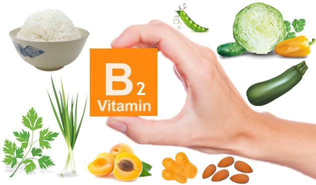 Vai trò của vitamin B2 (Riboflavin)